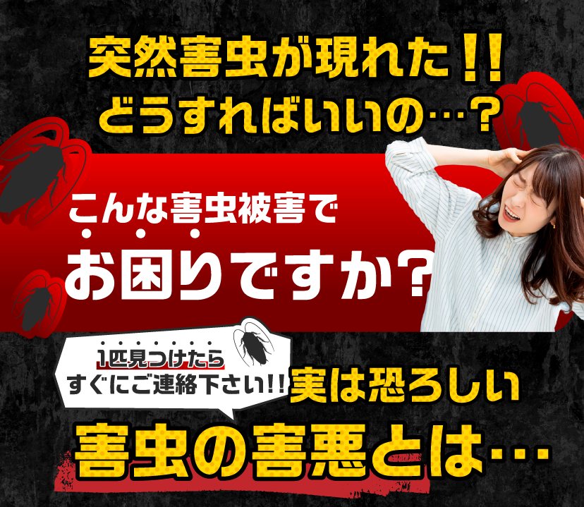 突然ゴキブリが現れた！どうすればいいの…？こんなゴキブリ被害でお困りですか？1匹見つけたらすぐにご連絡ください！実は恐ろしいゴキブリの害悪とは…